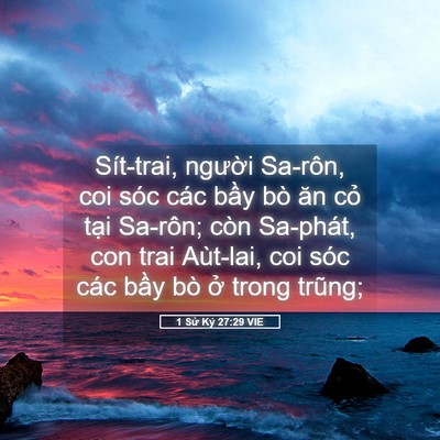 Picture 05 - 1 Sử Ký 27:29 VIE - Sít-trai, người Sa-rôn, coi sóc các bầy - Bible Verse Picture