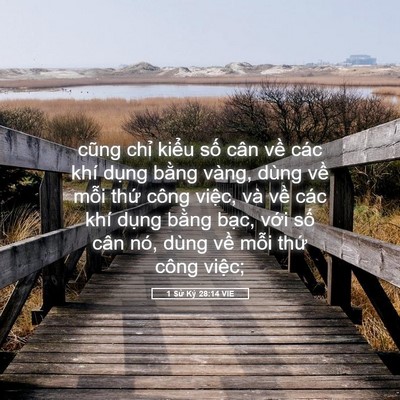 Picture 05 - 1 Sử Ký 28:14 VIE - cũng chỉ kiểu số cân về các khí - Bible Verse Picture