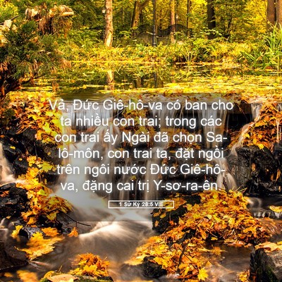 Picture 05 - 1 Sử Ký 28:5 VIE - Vả, Đức Giê-hô-va có ban cho ta nhiều - Bible Verse Picture