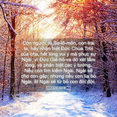 Picture 05 - 1 Sử Ký 28:9 VIE - Còn ngươi, là Sa-lô-môn, con trai ta, hãy - Bible Verse Picture