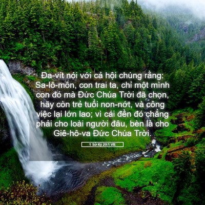 Picture 05 - 1 Sử Ký 29:1 VIE - Đa-vít nói với cả hội chúng rằng: - Bible Verse Picture