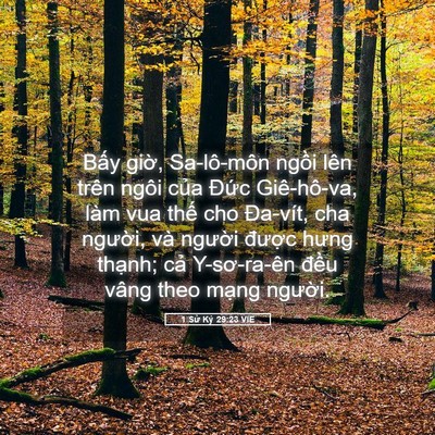 Picture 05 - 1 Sử Ký 29:23 VIE - Bấy giờ, Sa-lô-môn ngồi lên trên ngôi - Bible Verse Picture