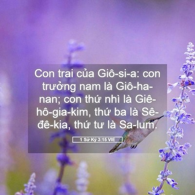 Picture 05 - 1 Sử Ký 3:15 VIE - Con trai của Giô-si-a: con trưởng nam là - Bible Verse Picture