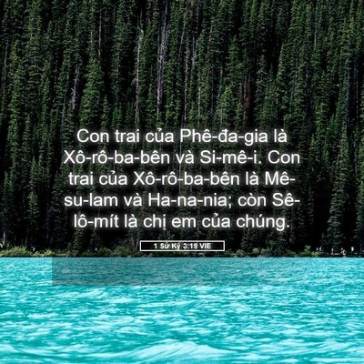 Picture 05 - 1 Sử Ký 3:19 VIE - Con trai của Phê-đa-gia là Xô-rô-ba-bên - Bible Verse Picture