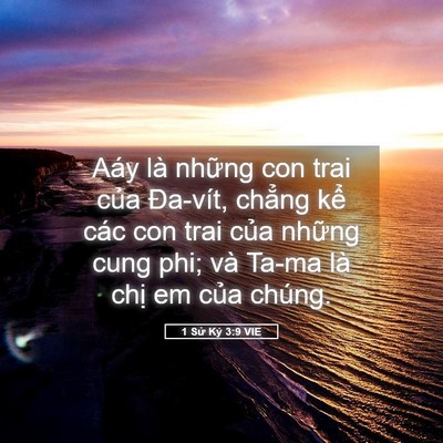 Picture 05 - 1 Sử Ký 3:9 VIE - Aáy là những con trai của Đa-vít, chẳng - Bible Verse Picture