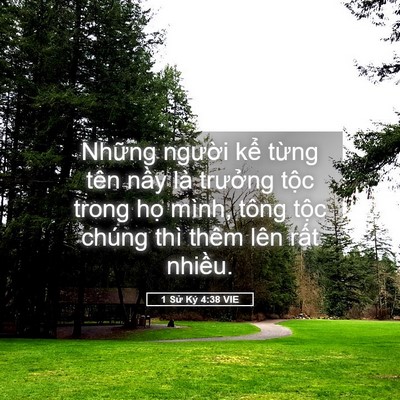 Picture 05 - 1 Sử Ký 4:38 VIE - Những người kể từng tên nầy là - Bible Verse Picture
