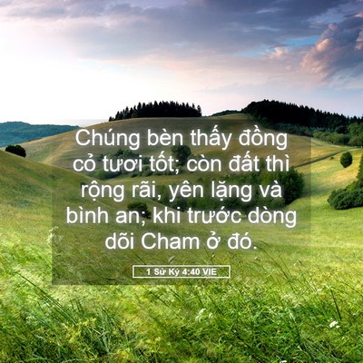 Picture 05 - 1 Sử Ký 4:40 VIE - Chúng bèn thấy đồng cỏ tươi tốt; - Bible Verse Picture