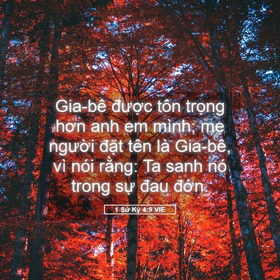 Picture 05 - 1 Sử Ký 4:9 VIE - Gia-bê được tôn trọng hơn anh em mình; - Bible Verse Picture