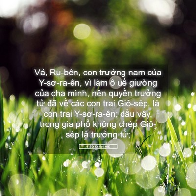 Picture 05 - 1 Sử Ký 5:1 VIE - Vả, Ru-bên, con trưởng nam của - Bible Verse Picture