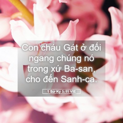 Picture 05 - 1 Sử Ký 5:11 VIE - Con cháu Gát ở đối ngang chúng nó trong - Bible Verse Picture