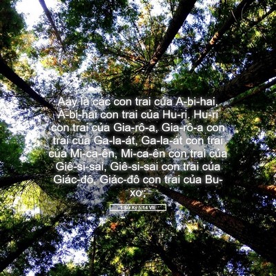 Picture 05 - 1 Sử Ký 5:14 VIE - Aáy là các con trai của A-bi-hai, A-bi-hai - Bible Verse Picture