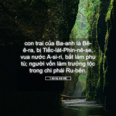 Picture 05 - 1 Sử Ký 5:6 VIE - con trai của Ba-anh là Bê-ê-ra, bị - Bible Verse Picture