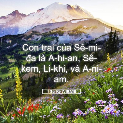 Picture 05 - 1 Sử Ký 7:19 VIE - Con trai của Sê-mi-đa là A-hi-an, Sê-kem, - Bible Verse Picture