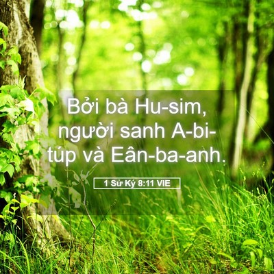 Picture 05 - 1 Sử Ký 8:11 VIE - Bởi bà Hu-sim, người sanh A-bi-túp và - Bible Verse Picture