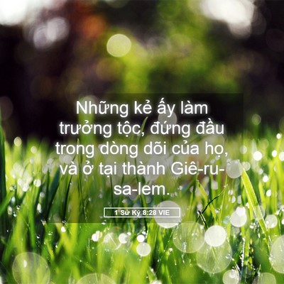 Picture 05 - 1 Sử Ký 8:28 VIE - Những kẻ ấy làm trưởng tộc, đứng - Bible Verse Picture