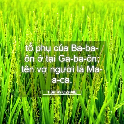 Picture 05 - 1 Sử Ký 8:29 VIE - tổ phụ của Ba-ba-ôn ở tại Ga-ba-ôn; - Bible Verse Picture