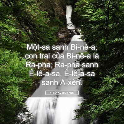 Picture 05 - 1 Sử Ký 8:37 VIE - Một-sa sanh Bi-nê-a; con trai của Bi-nê-a - Bible Verse Picture