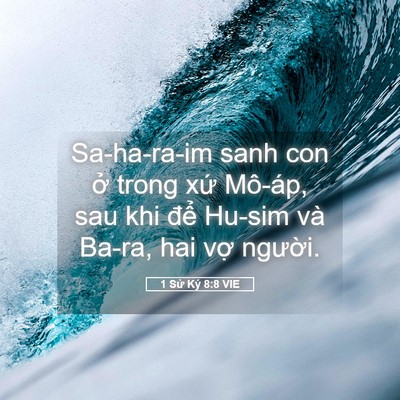 Picture 05 - 1 Sử Ký 8:8 VIE - Sa-ha-ra-im sanh con ở trong xứ Mô-áp, sau - Bible Verse Picture