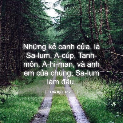 Picture 05 - 1 Sử Ký 9:17 VIE - Những kẻ canh cửa, là Sa-lum, A-cúp, - Bible Verse Picture