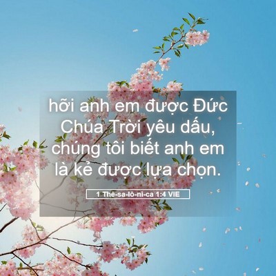 Picture 05 - 1 Thê-sa-lô-ni-ca 1:4 VIE - hỡi anh em được Đức Chúa Trời yêu - Bible Verse Picture