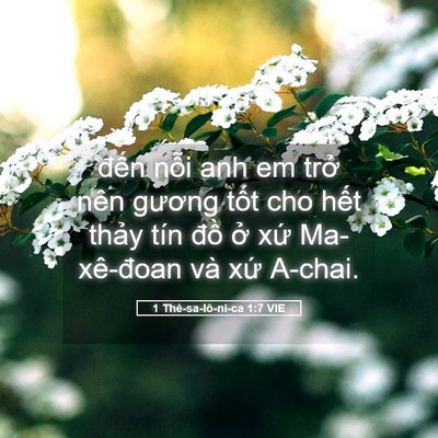 Picture 05 - 1 Thê-sa-lô-ni-ca 1:7 VIE - đến nỗi anh em trở nên gương tốt cho - Bible Verse Picture