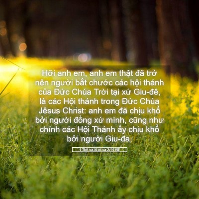 Picture 05 - 1 Thê-sa-lô-ni-ca 2:14 VIE - Hỡi anh em, anh em thật đã trở nên - Bible Verse Picture