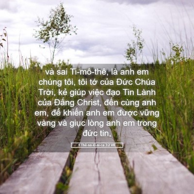 Picture 05 - 1 Thê-sa-lô-ni-ca 3:2 VIE - và sai Ti-mô-thê, là anh em chúng tôi, tôi - Bible Verse Picture