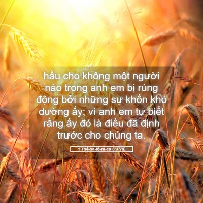 Picture 05 - 1 Thê-sa-lô-ni-ca 3:3 VIE - hầu cho không một người nào trong anh em - Bible Verse Picture