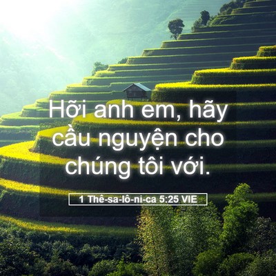Picture 05 - 1 Thê-sa-lô-ni-ca 5:25 VIE - Hỡi anh em, hãy cầu nguyện cho chúng tôi - Bible Verse Picture