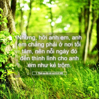 Picture 05 - 1 Thê-sa-lô-ni-ca 5:4 VIE - Nhưng, hỡi anh em, anh em chẳng phải ở - Bible Verse Picture