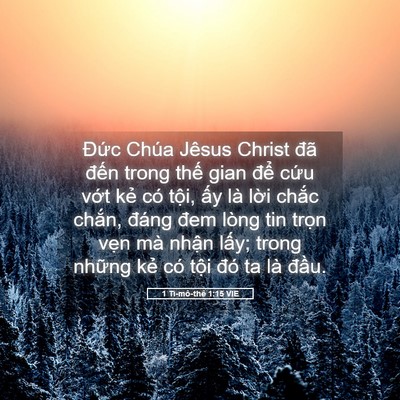 Picture 05 - 1 Ti-mô-thê 1:15 VIE - Đức Chúa Jêsus Christ đã đến trong - Bible Verse Picture