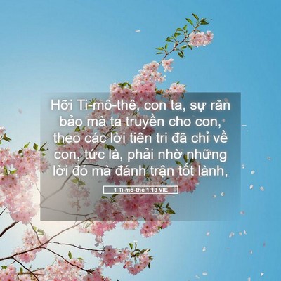 Picture 05 - 1 Ti-mô-thê 1:18 VIE - Hỡi Ti-mô-thê, con ta, sự răn bảo mà ta - Bible Verse Picture
