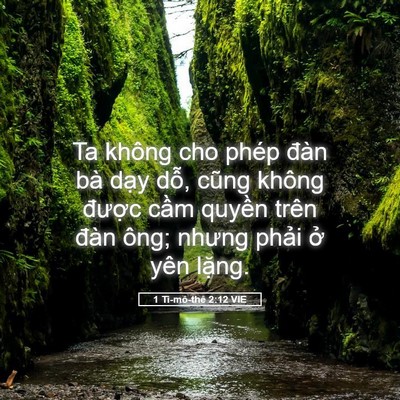 Picture 05 - 1 Ti-mô-thê 2:12 VIE - Ta không cho phép đàn bà dạy dỗ, cũng - Bible Verse Picture