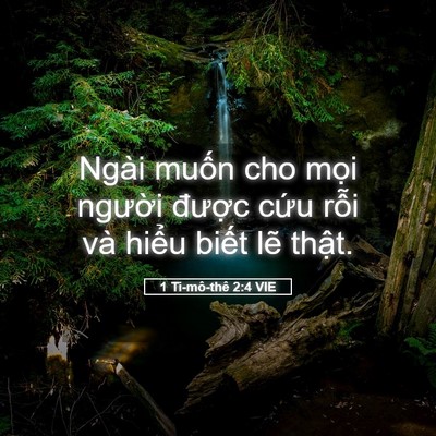 Picture 05 - 1 Ti-mô-thê 2:4 VIE - Ngài muốn cho mọi người được cứu - Bible Verse Picture