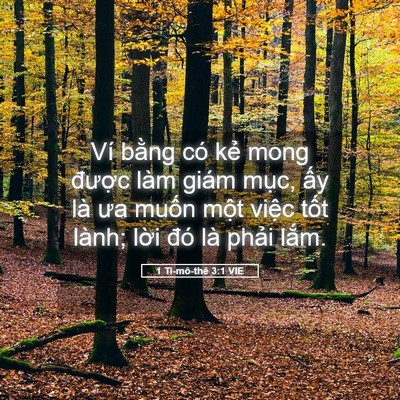 Picture 05 - 1 Ti-mô-thê 3:1 VIE - Ví bằng có kẻ mong được làm giám - Bible Verse Picture