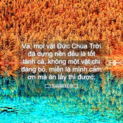 Picture 05 - 1 Ti-mô-thê 4:4 VIE - Vả, mọi vật Đức Chúa Trời đã dựng - Bible Verse Picture