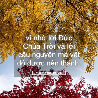 Picture 05 - 1 Ti-mô-thê 4:5 VIE - vì nhờ lời Đức Chúa Trời và lời - Bible Verse Picture