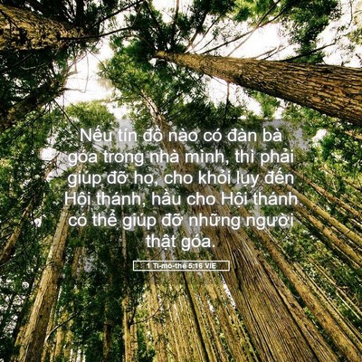 Picture 05 - 1 Ti-mô-thê 5:16 VIE - Nếu tín đồ nào có đàn bà góa trong - Bible Verse Picture