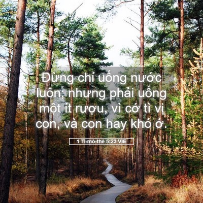 Picture 05 - 1 Ti-mô-thê 5:23 VIE - Đừng chỉ uống nước luôn; nhưng phải - Bible Verse Picture