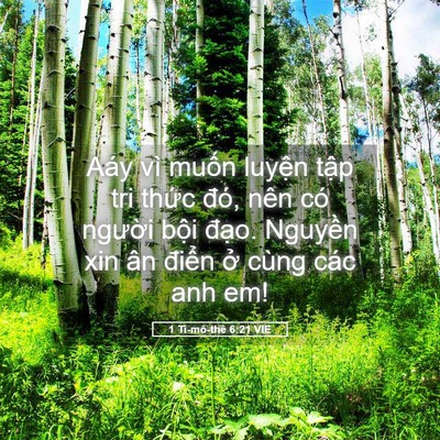 Picture 05 - 1 Ti-mô-thê 6:21 VIE - Aáy vì muốn luyện tập tri thức đó, - Bible Verse Picture