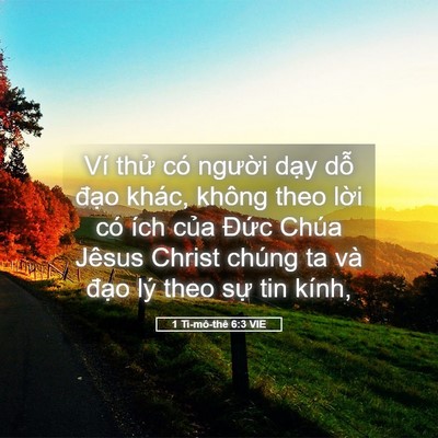 Picture 05 - 1 Ti-mô-thê 6:3 VIE - Ví thử có người dạy dỗ đạo khác, - Bible Verse Picture