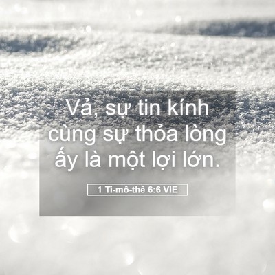Picture 05 - 1 Ti-mô-thê 6:6 VIE - Vả, sự tin kính cùng sự thỏa lòng ấy - Bible Verse Picture