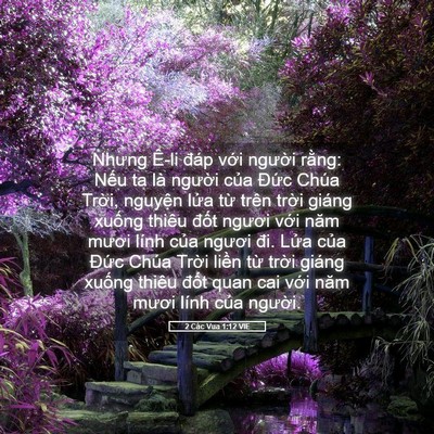 Picture 05 - 2 Các Vua 1:12 VIE - Nhưng Ê-li đáp với người rằng: Nếu - Bible Verse Picture