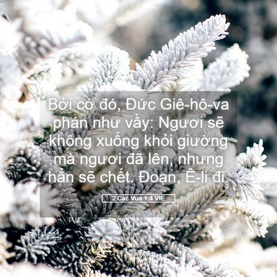 Picture 05 - 2 Các Vua 1:4 VIE - Bởi cớ đó, Đức Giê-hô-va phán như - Bible Verse Picture