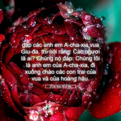 Picture 05 - 2 Các Vua 10:13 VIE - gặp các anh em A-cha-xia vua Giu-đa, thì - Bible Verse Picture
