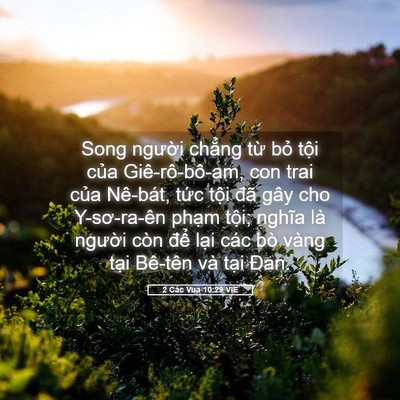 Picture 05 - 2 Các Vua 10:29 VIE - Song người chẳng từ bỏ tội của - Bible Verse Picture