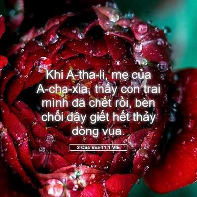 Picture 05 - 2 Các Vua 11:1 VIE - Khi A-tha-li, mẹ của A-cha-xia, thấy con - Bible Verse Picture
