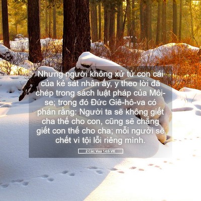 Picture 05 - 2 Các Vua 14:6 VIE - Nhưng người không xử tử con cái của - Bible Verse Picture