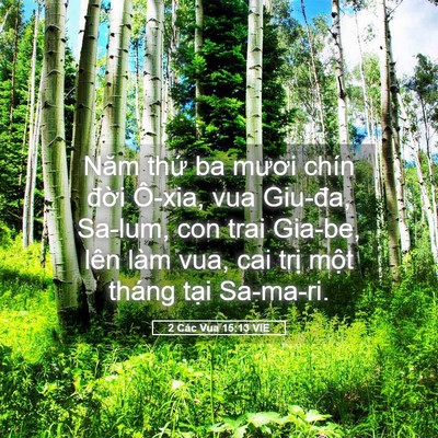 Picture 05 - 2 Các Vua 15:13 VIE - Năm thứ ba mươi chín đời Ô-xia, vua - Bible Verse Picture