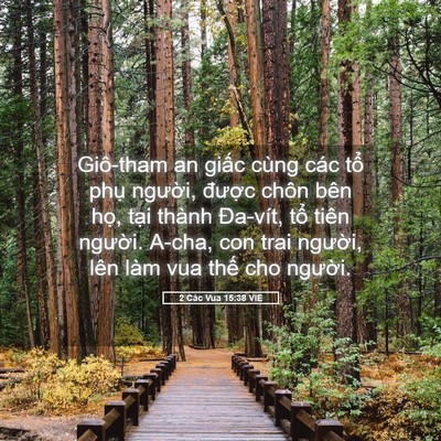 Picture 05 - 2 Các Vua 15:38 VIE - Giô-tham an giấc cùng các tổ phụ - Bible Verse Picture